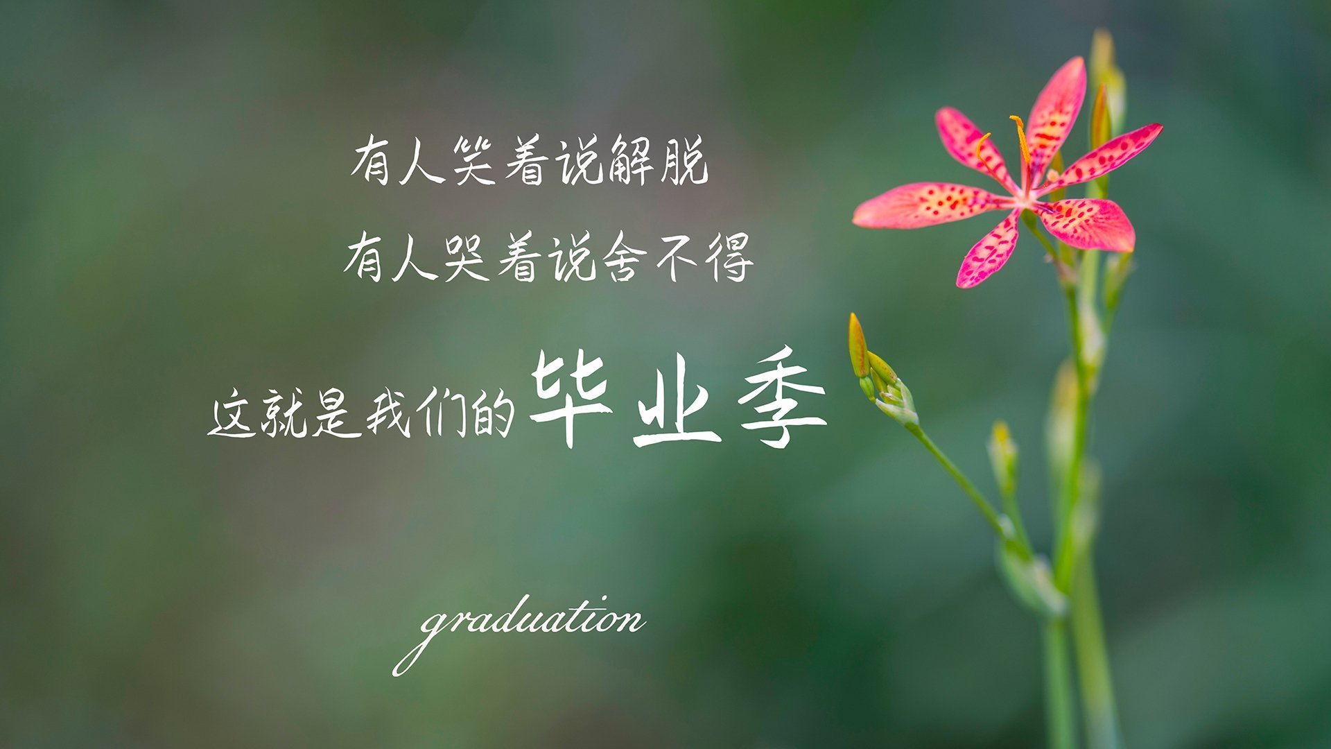 跨界主宰，小贾伦改写剧本，湖人强势晋级黄蜂