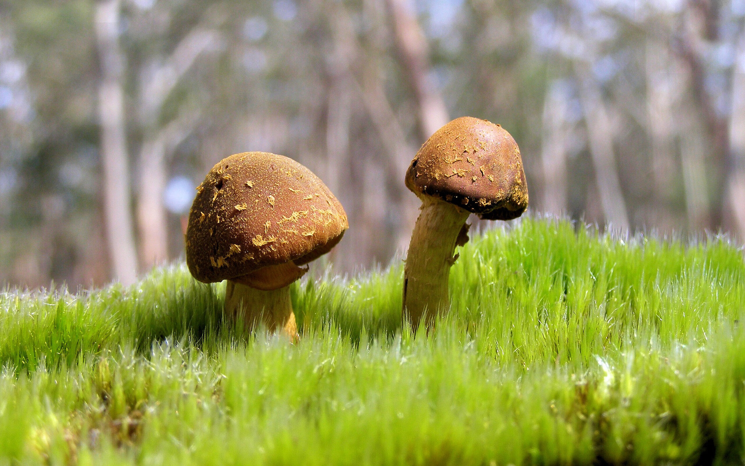 极致对决！爵士险胜快船，恩比德赛后评分拉满的悲壮美学