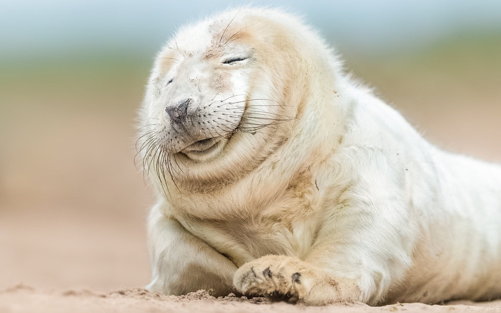 爱游戏官网-篮球场上的欧冠决赛，吉林队铁血防守上演诺坎普奇迹