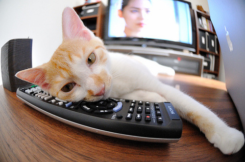 爱游戏APP-亚洲铁卫导演爆冷！富安健洋制胜攻防，巴西豪门斩落亚特兰大