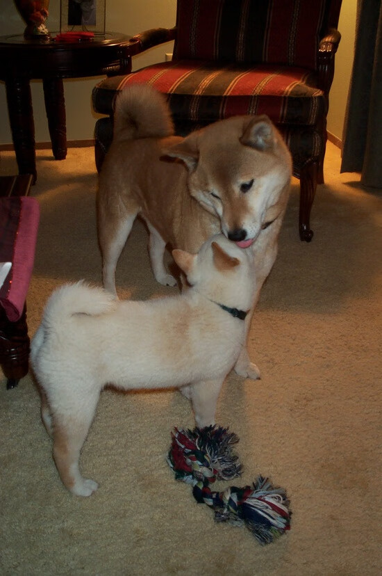 夜尽处，冰火同源，德布劳内如何在压力中完成唯一性绽放