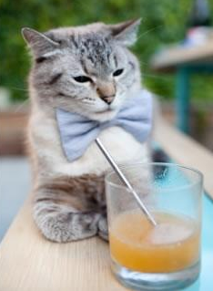 唯一性的双重奏,步行者团队收割爵士与布克决赛接管传奇