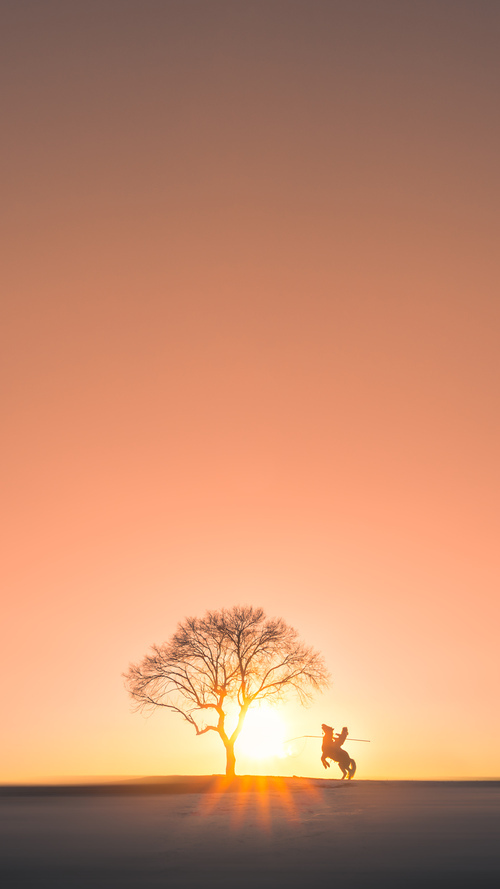 唯一性，沙特最后时刻击败巴西，德里赫特如何成为关键先生