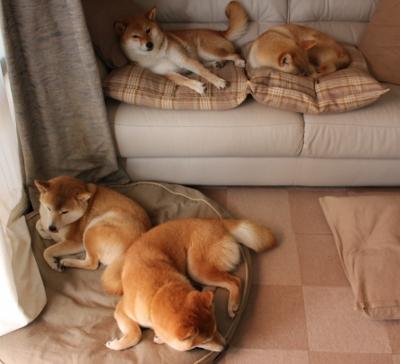 死神在弧顶徘徊，西决生死夜，伊布用持续杀伤雕刻胜利