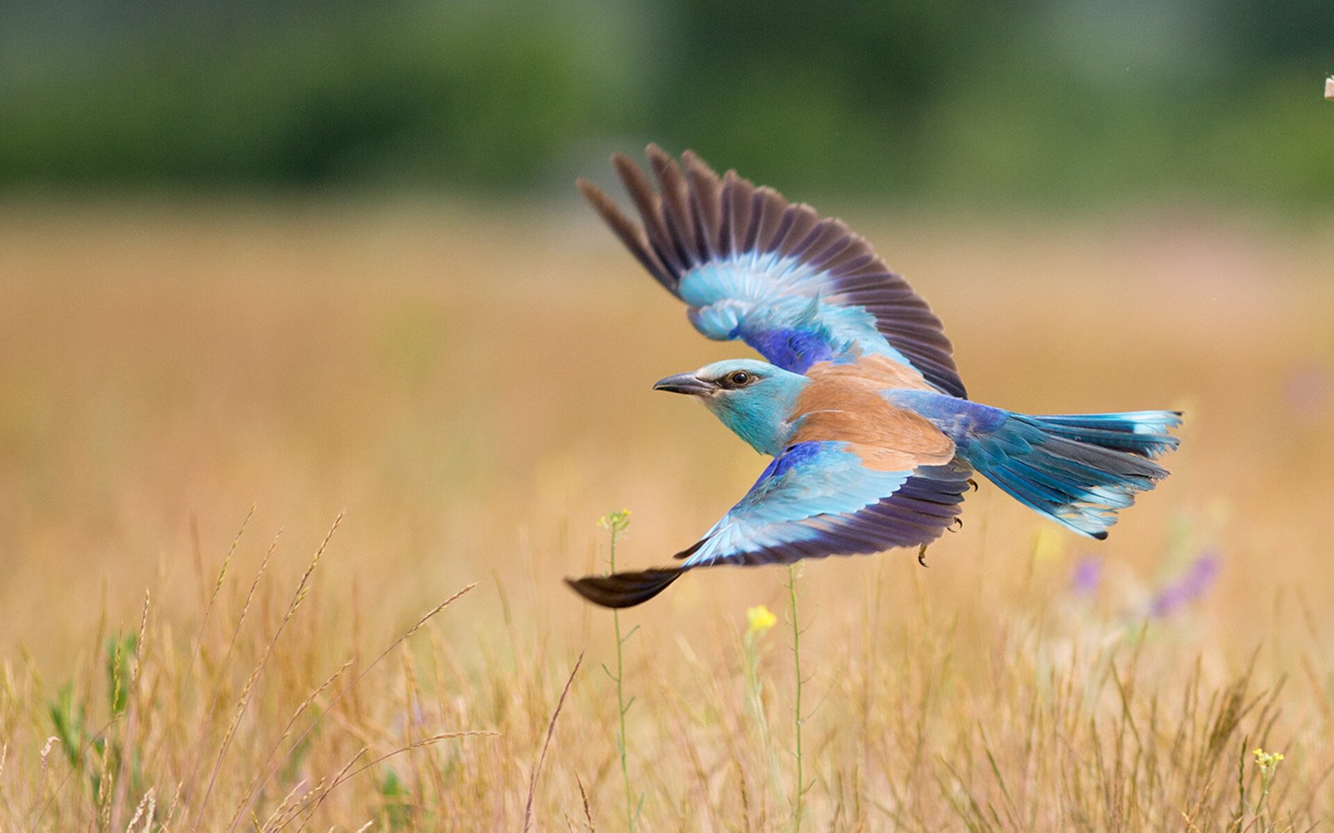 从哲学家到魔术师，一场足球赛里的觉醒三重奏