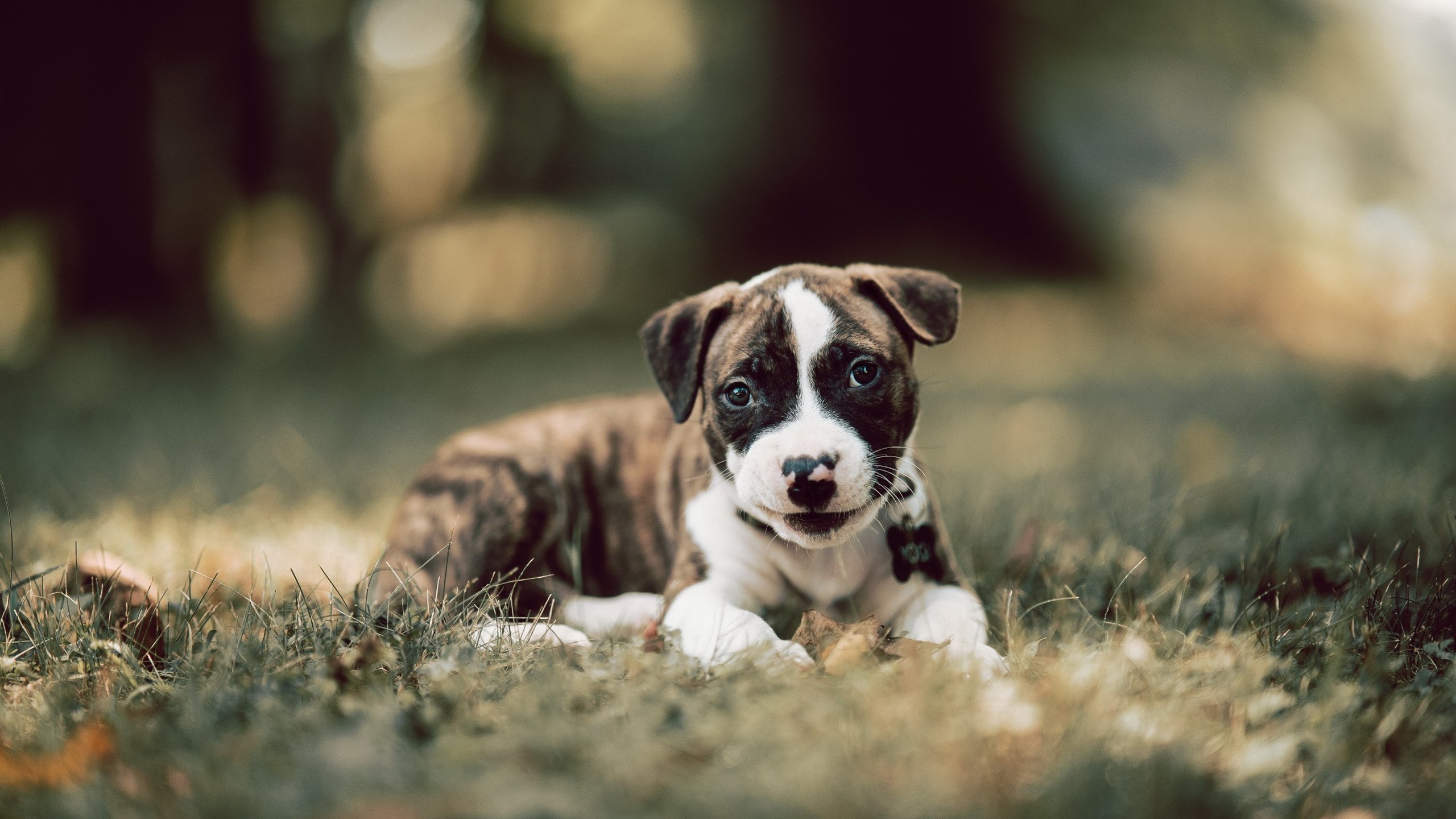 临界点上的金色印记，贝林厄姆三个黄金时刻点燃世界排名争夺战之夜