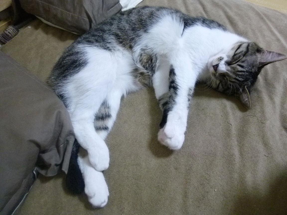 临界点上的金色印记，贝林厄姆三个黄金时刻点燃世界排名争夺战之夜