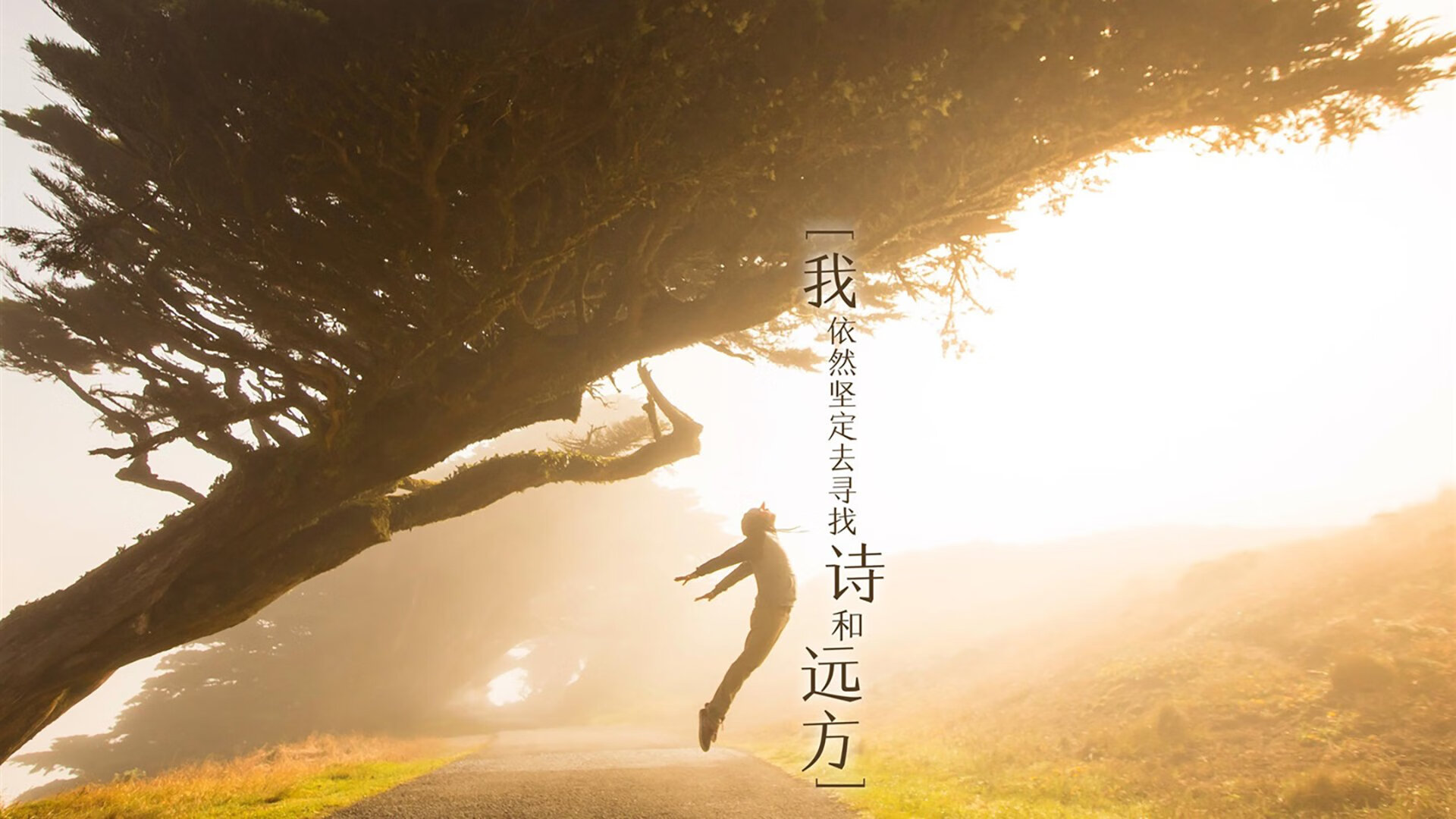 黄与红的界限，当德里赫特用进球丈量卡塔尔的足球版图