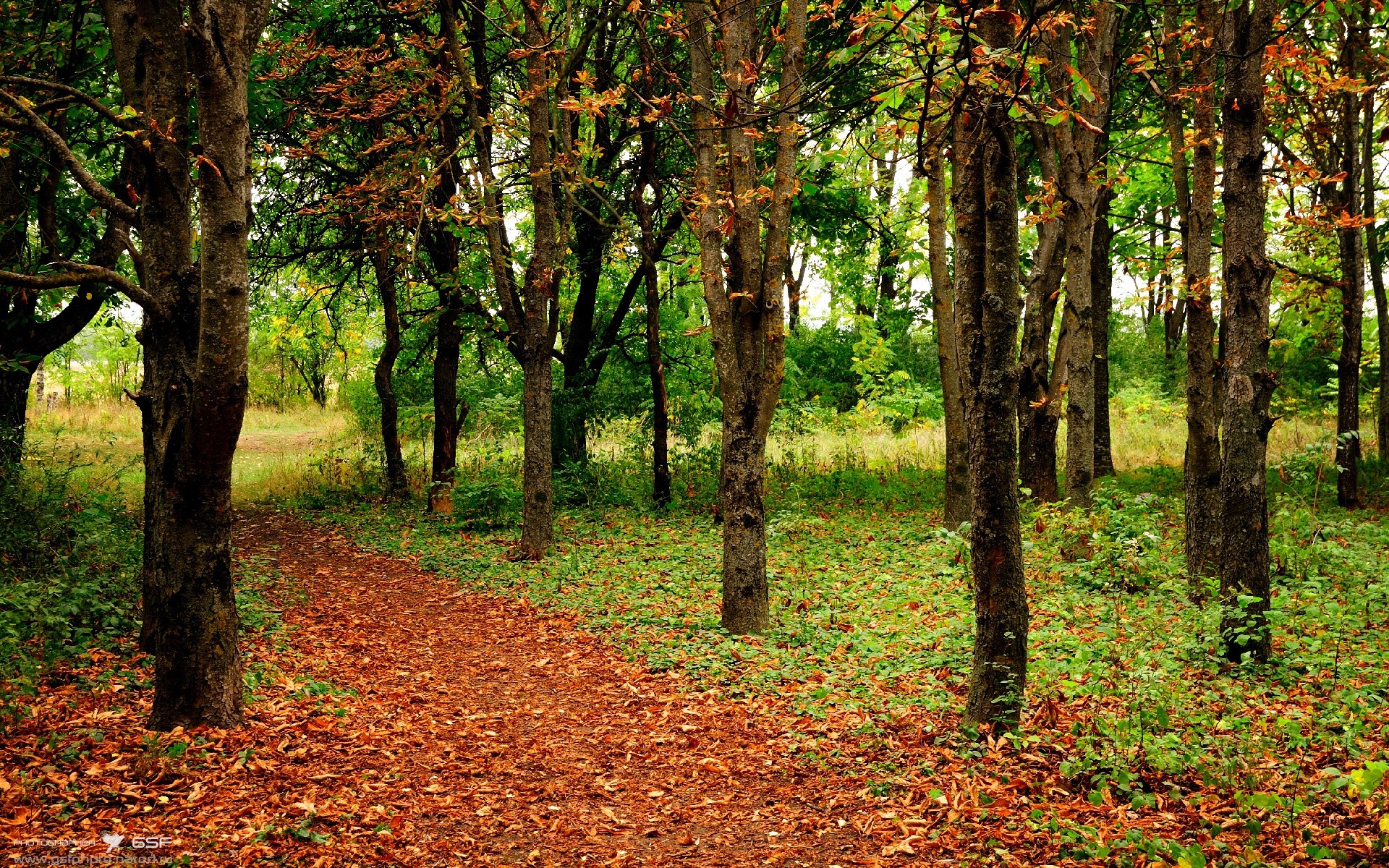 爱游戏在线-跨界狂欢，当智利队与戈麦斯在平行宇宙的周末统治世界