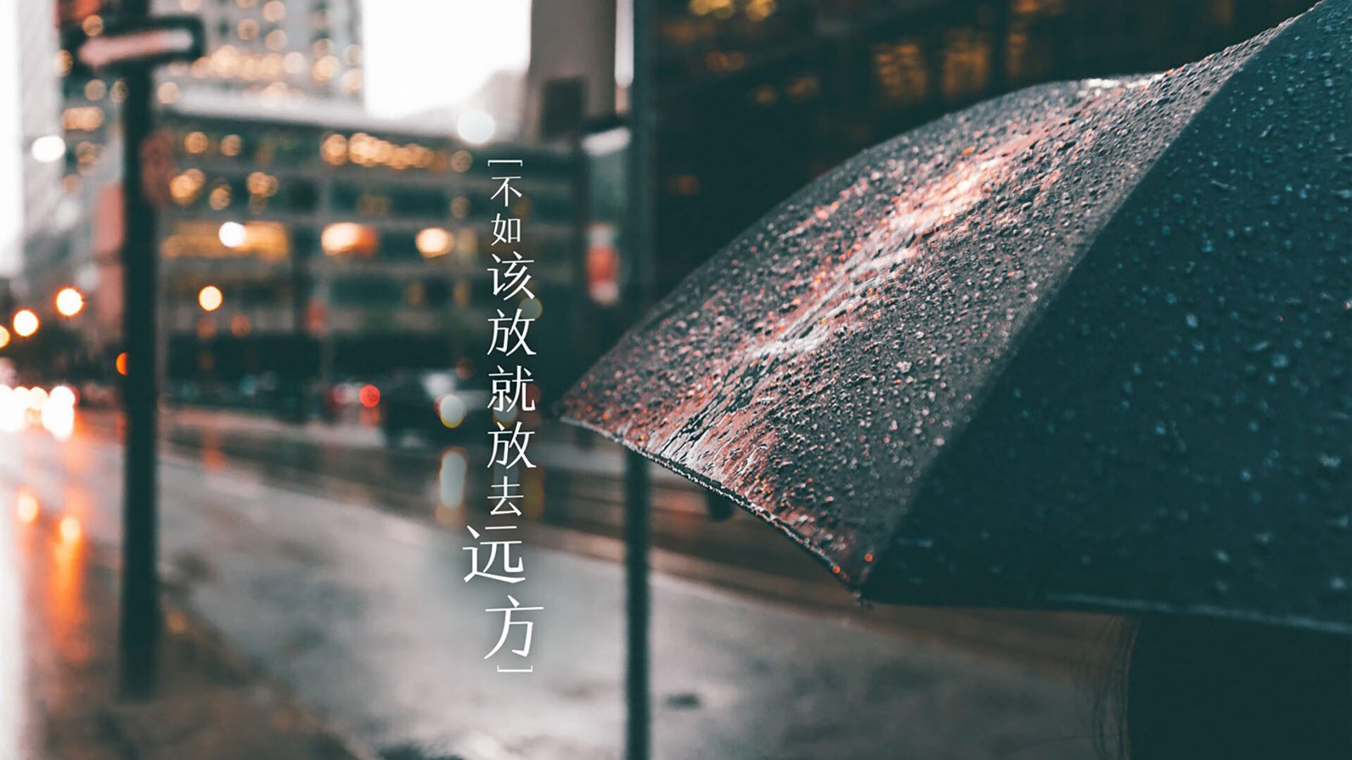 一夜改写命运，2026世界杯B组强强对话，波兰绝杀厄瓜多尔，德容闪耀全场