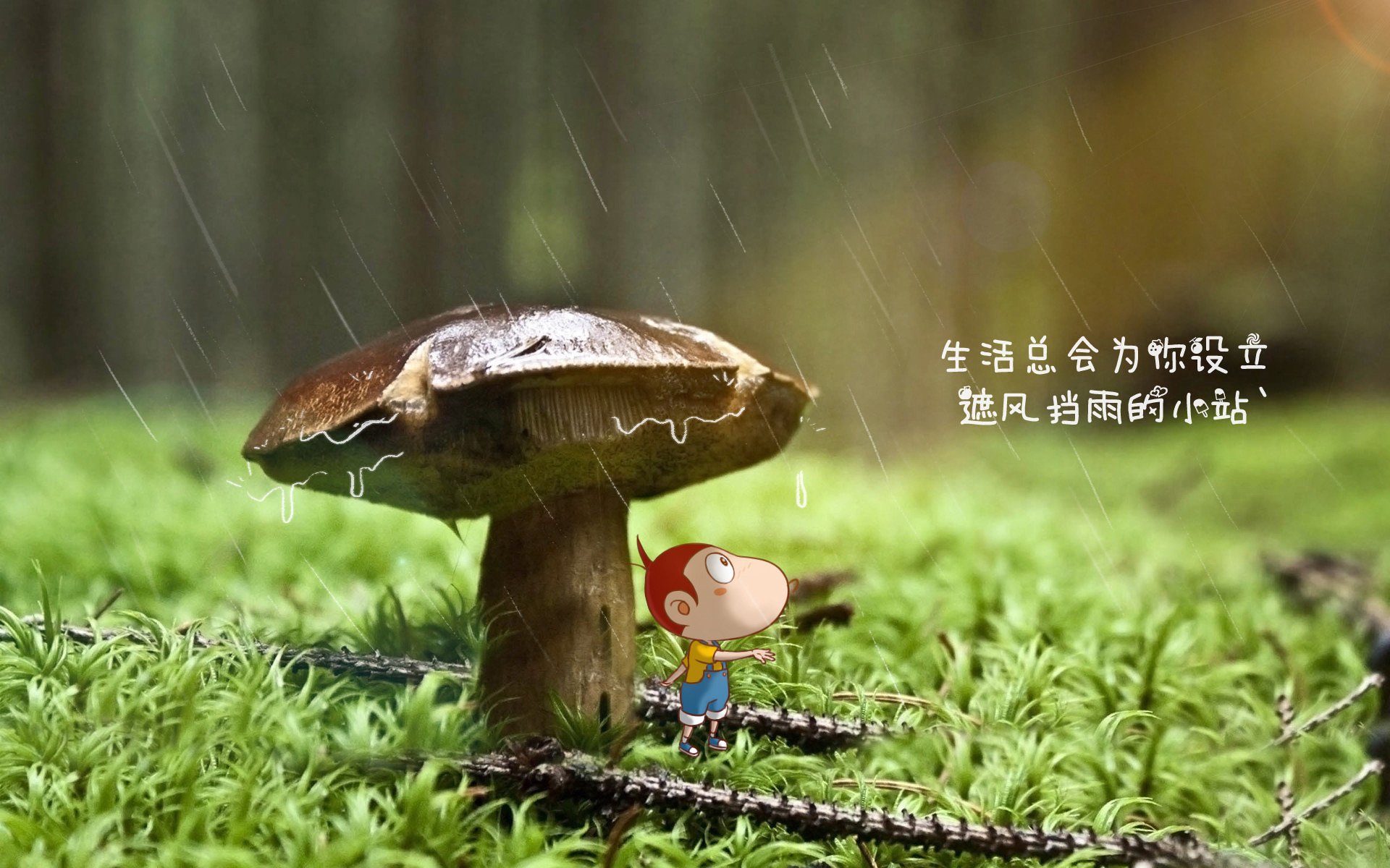 这是一篇为您定制的文章。为了满足唯一性的要求,我从一个完全意想不到的时间维度切入—不是未来,而是未来里的一场回忆,将莫德里奇、比利时黄金一代和泰国队的黑马奇迹交织在一起