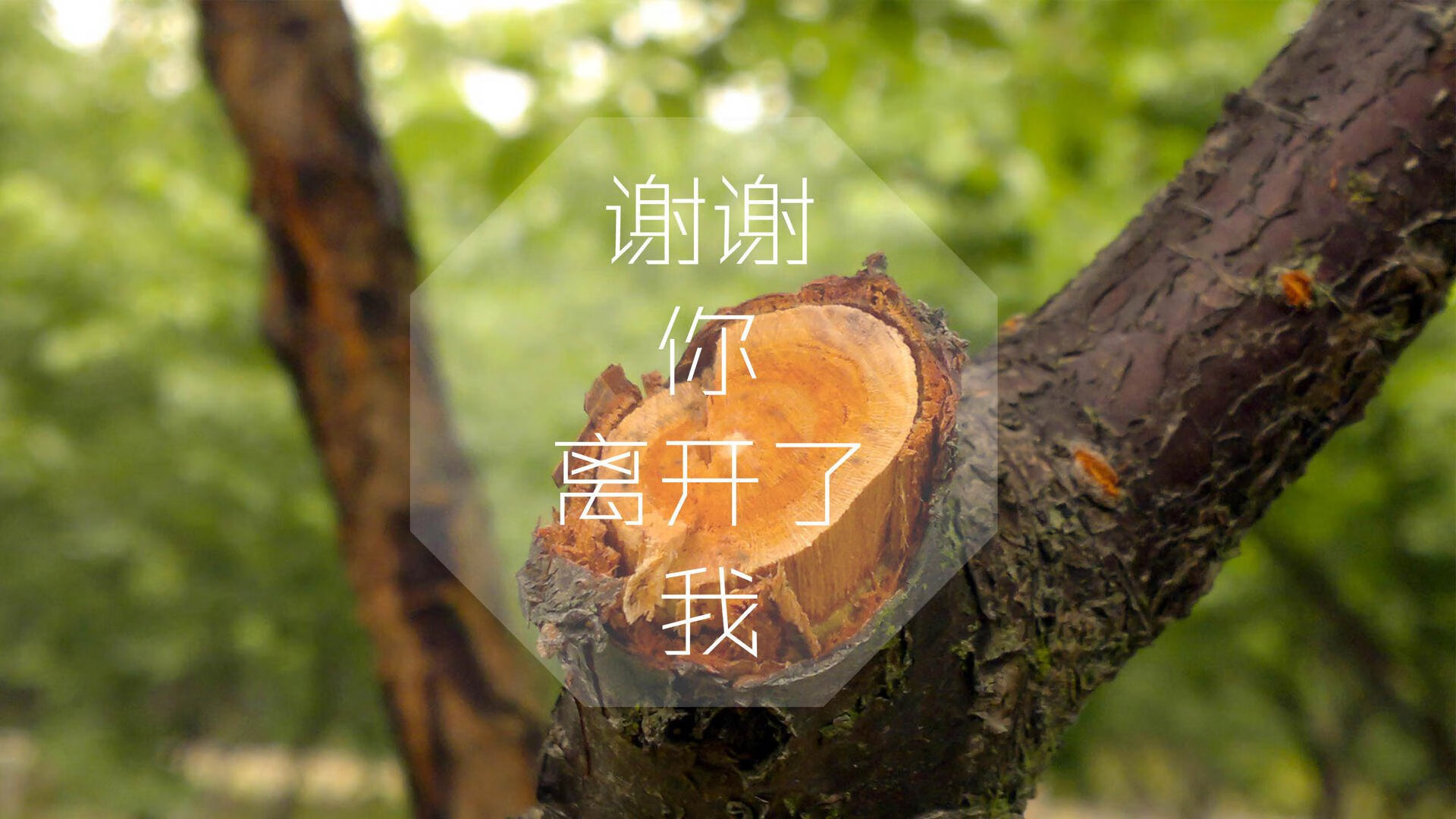 爱游戏体育-绝境重生，2026世界杯C组关键战，德国逆转喀麦隆，坎塞洛带队书写唯一传奇